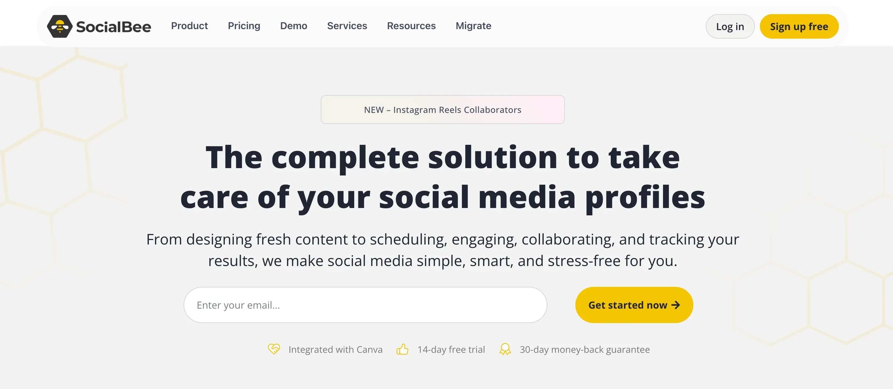 Socialbee