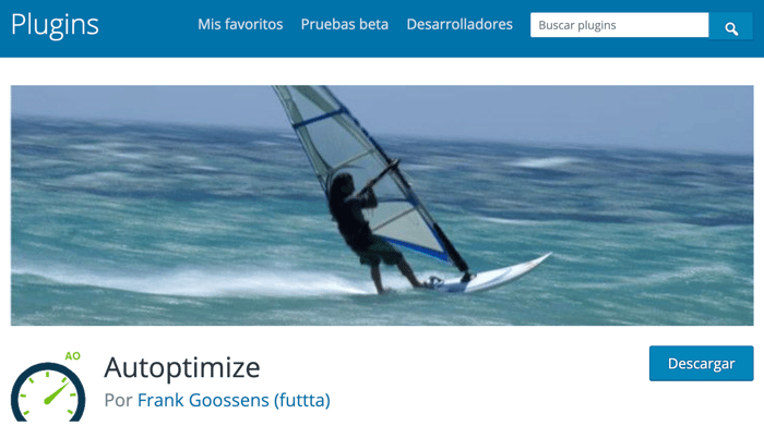 autoptimize-plugin