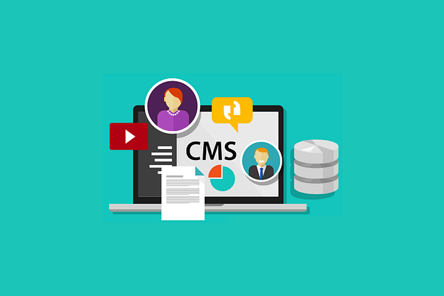 cms-dropshipping