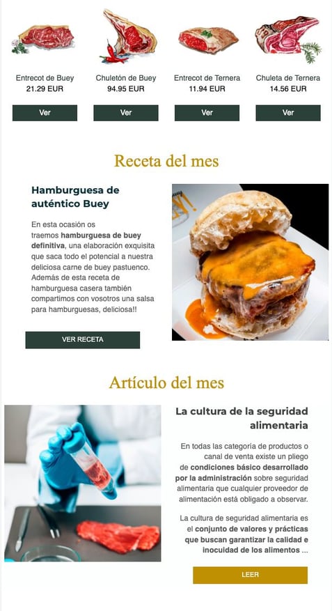 ejemplo-newsletter