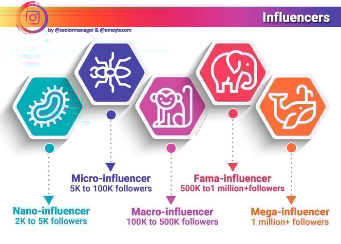 follow-influencer