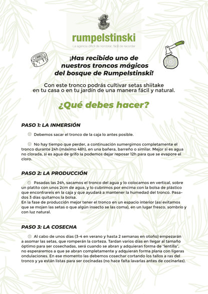 regalo-original